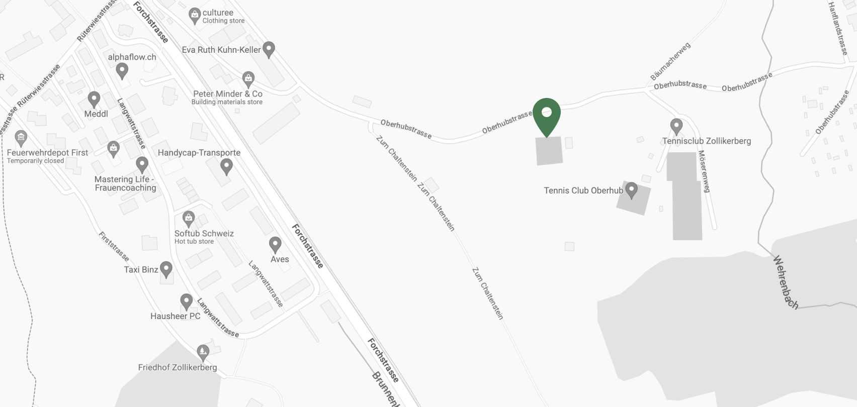 Address: Oberhubstrasse 60, CH-8125 Zollikerberg (by Zurich) Switzerland